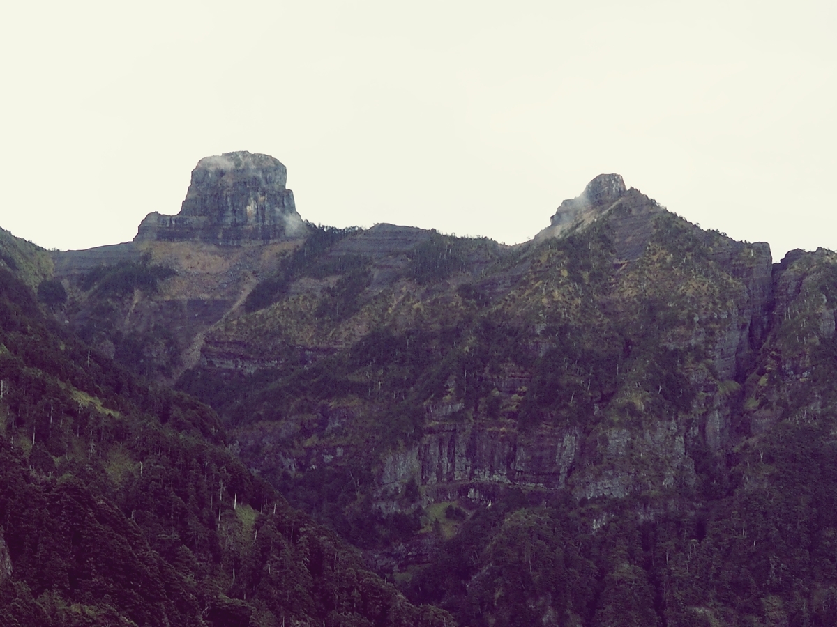 大霸群峰,大霸尖山,小霸尖山,加利山,伊澤山,hanchor,百岳,縱走,登山,健行