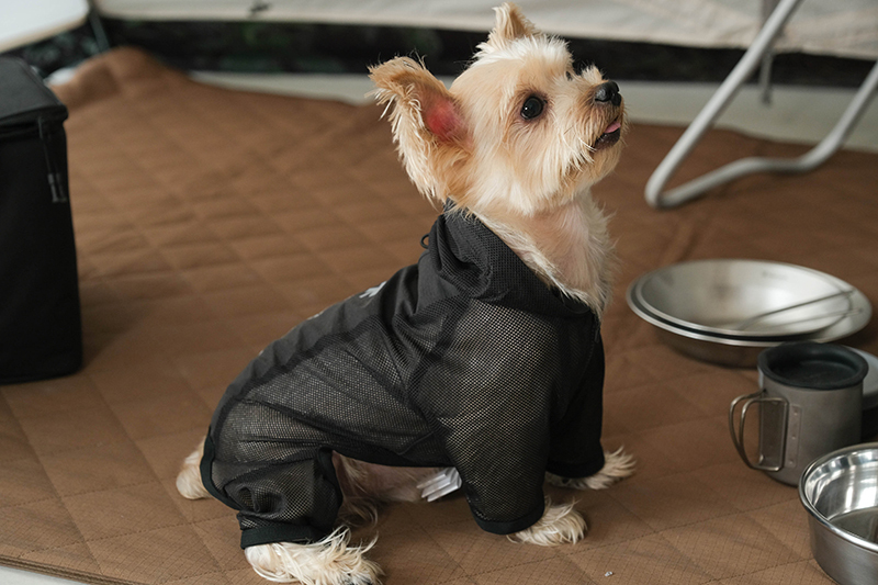 SP Dog Mesh Jacket(DS-23SU00309OL) | ドッグの通販