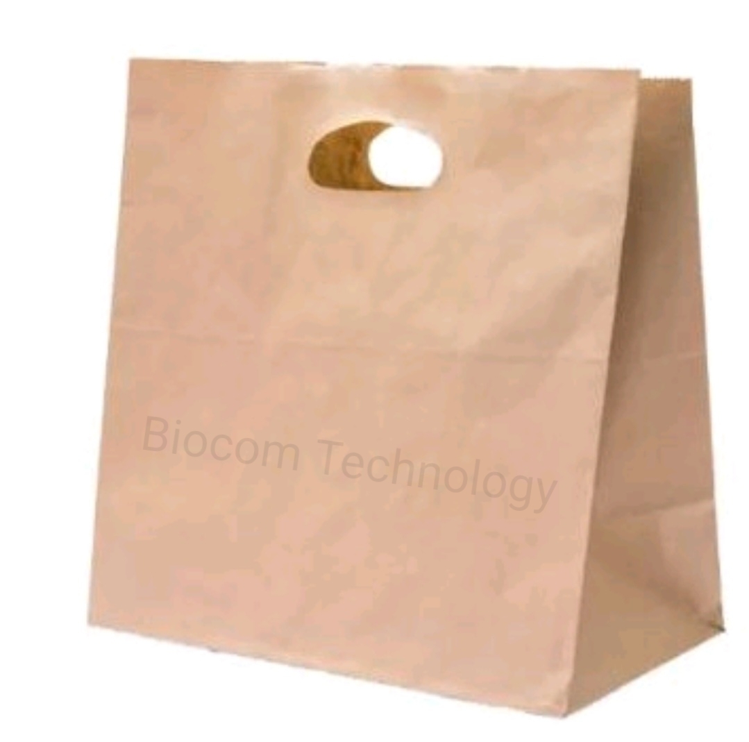 Brown Die Cut Handle Paper Bag
