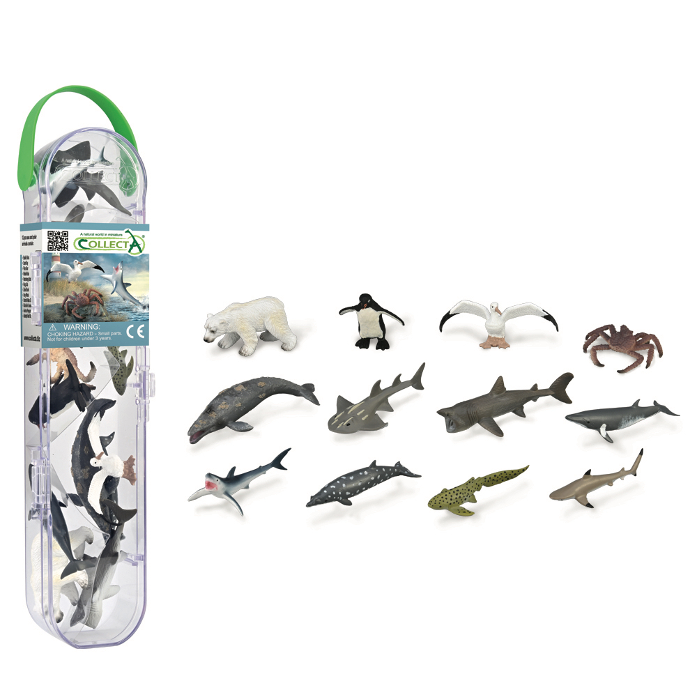 COLLECTA盒裝迷你海洋動物-3
