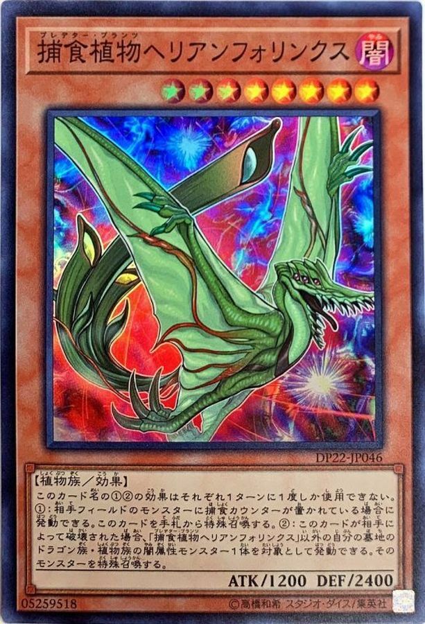 DP22-JP046 捕食植物ヘリアンフォリンクス