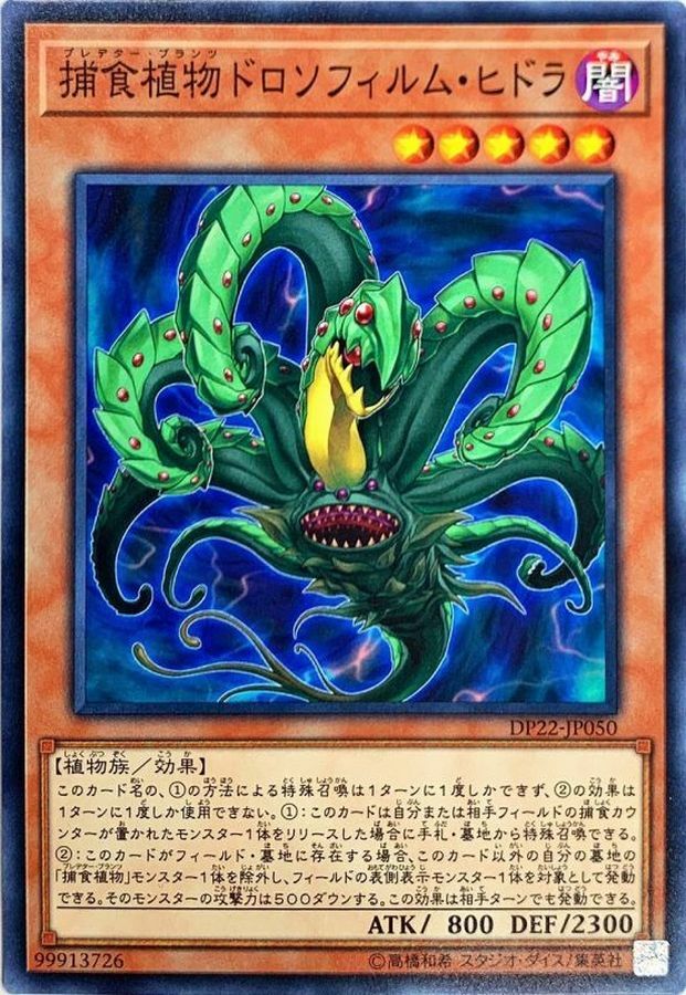 DP22-JP050 捕食植物ドロソフィルム・ヒドラ