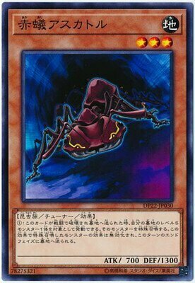 DP22-JP030 赤蟻アスカトル