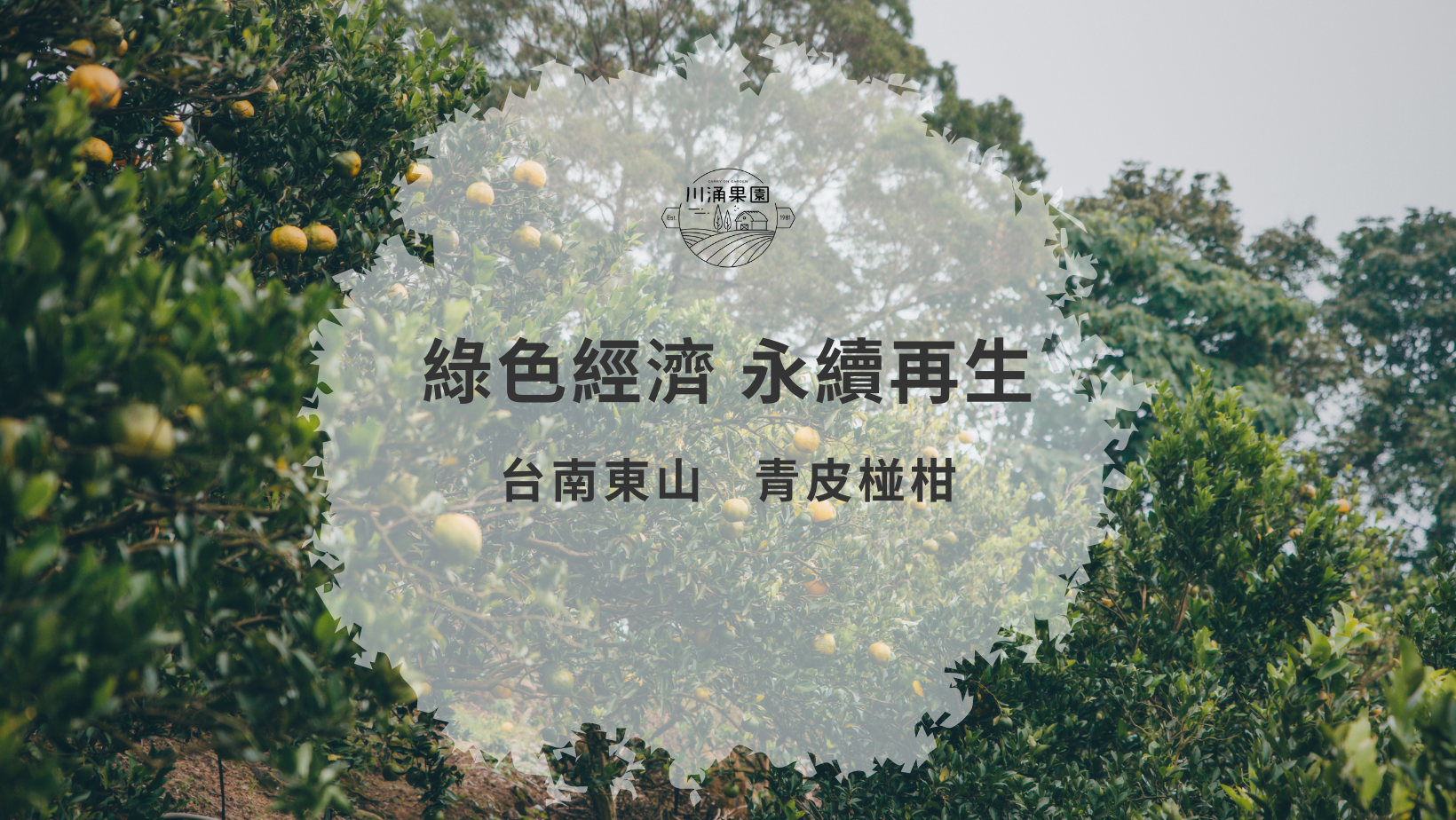 川涌果園,青皮椪柑,廚房清潔