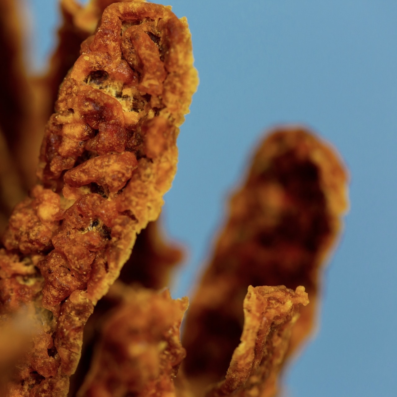 遊肉園｜南瓜雞肉棒