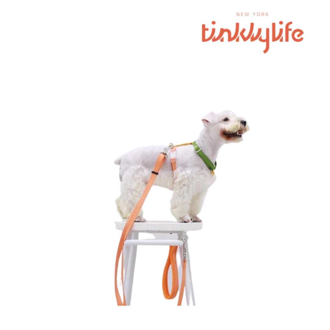 Tinklylife彩虹編織雙頭牽繩