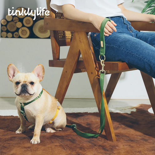 Tinklylife彩虹編織雙頭牽繩