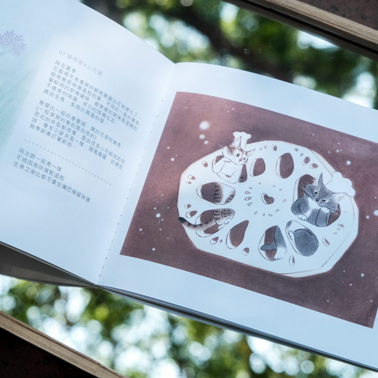 補補貓‧大衛煮愛｜小誌｜簡單料理 X 貓咪想像