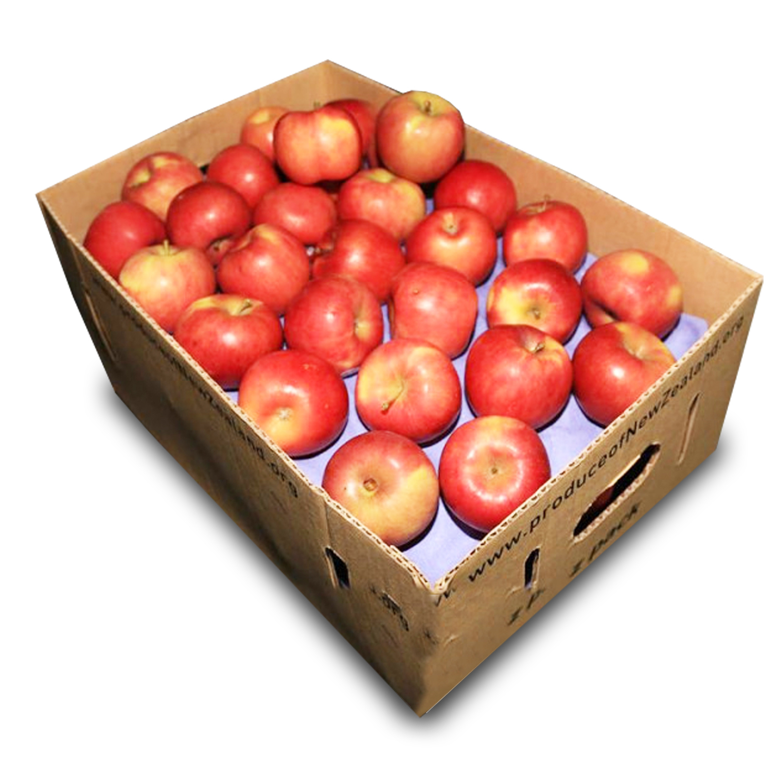業務用中國富士蘋果 [原箱]