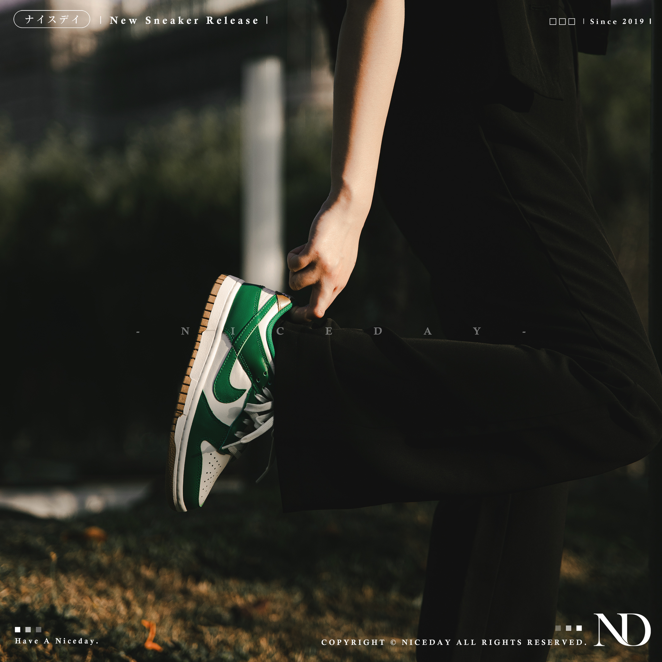 NICEDAY 代購 Nike Dunk Low 青色草原 女鞋 FB7173-131