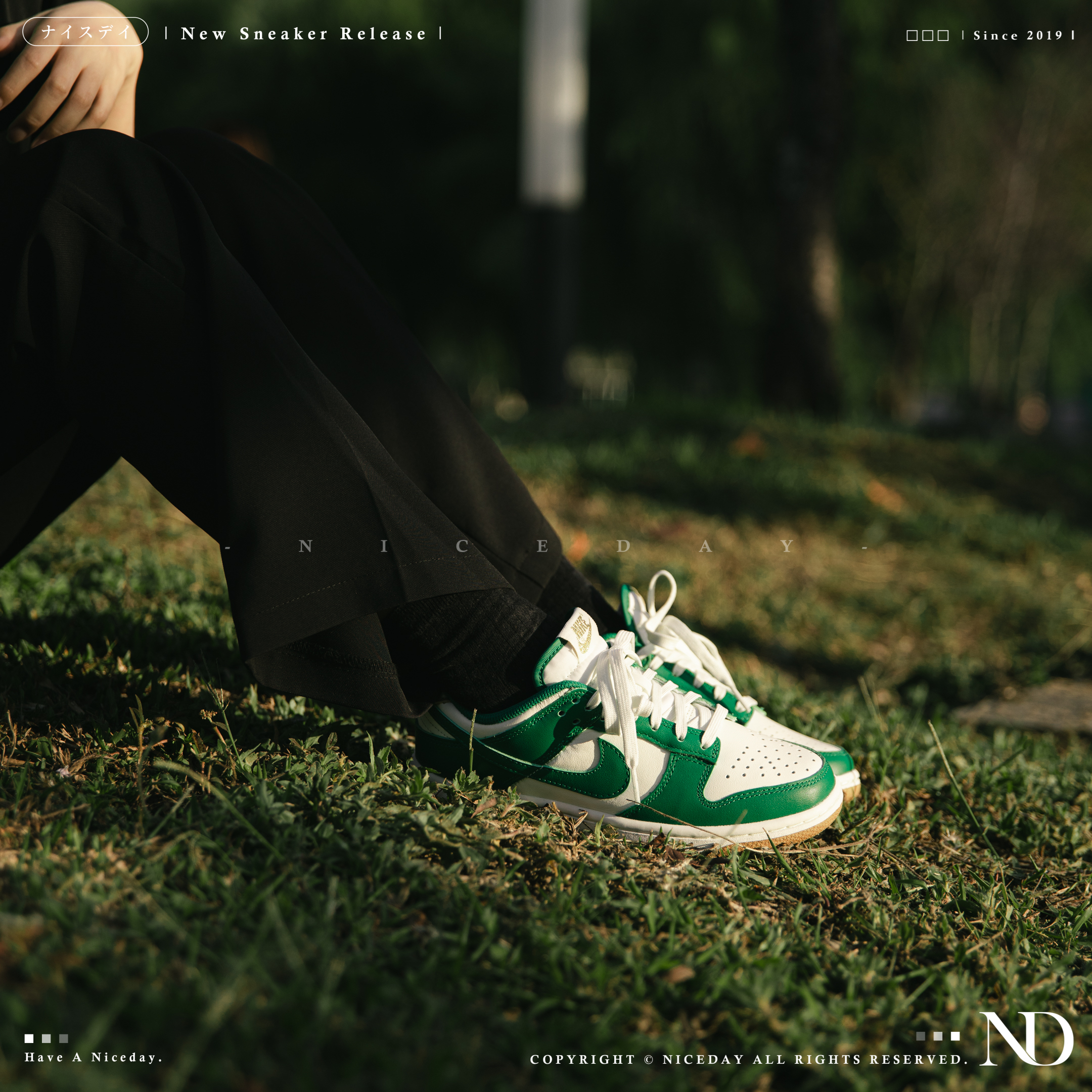 NICEDAY 代購 Nike Dunk Low 青色草原 女鞋 FB7173-131