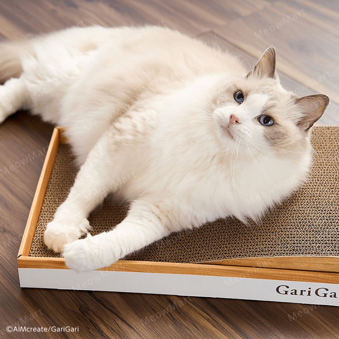 日本 Gari Gari 二合一貓抓板