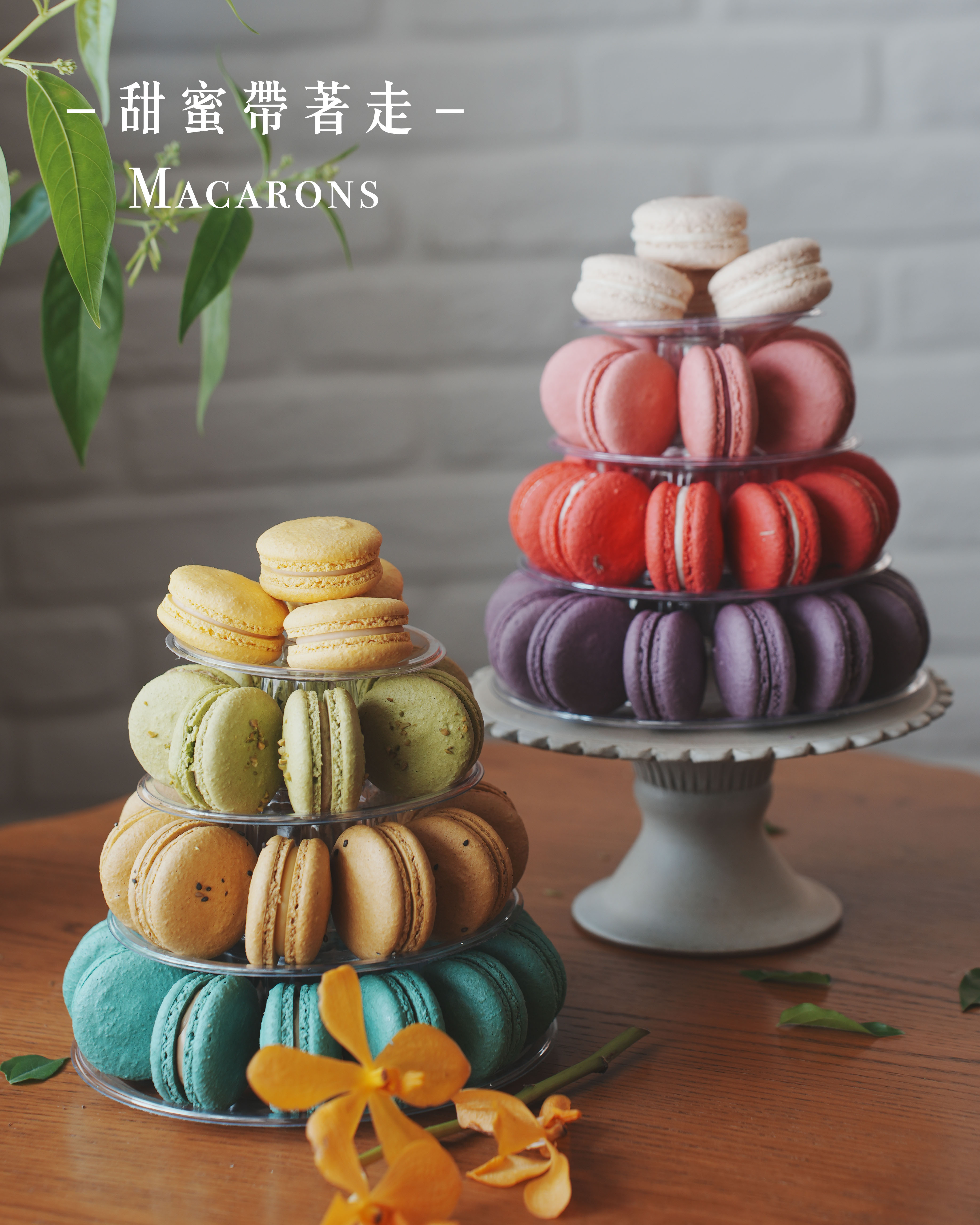 帶著走馬卡龍塔|34入