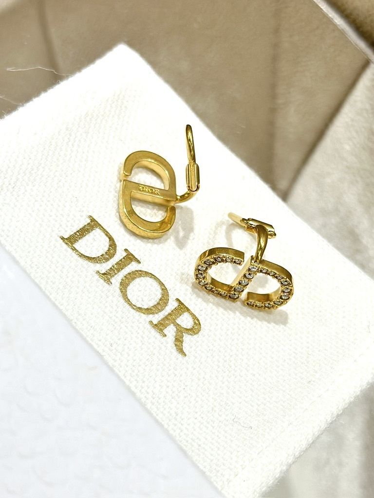 DIOR Petit CD Clip Earrings E2366