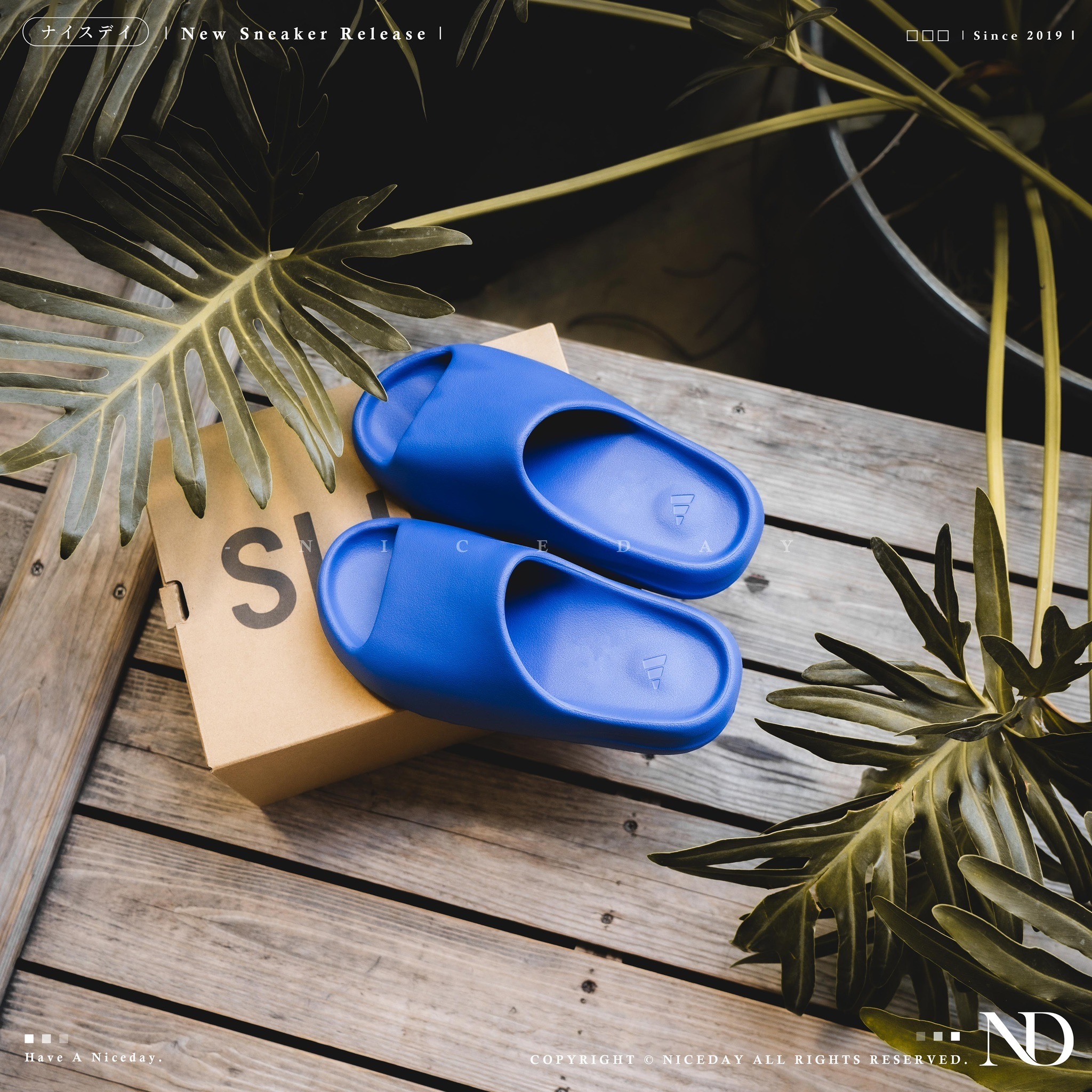 NICEDAY 代購 Adidas Yeezy Slide 拖鞋 克萊茵藍 藍 椰子 男女尺寸 ID4133