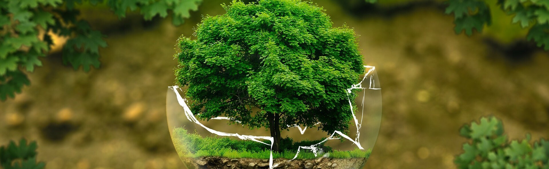 晶荷花精的環保政策