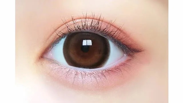 [日拋] PRIMORE 1-DAY Pri Dolly Brown 日拋有色彩妝隱形眼鏡｜每盒10片