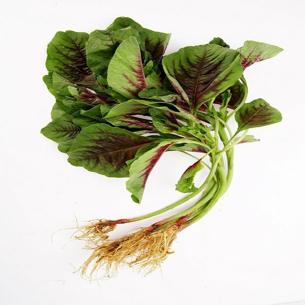 Local Chinese Spinach (Red)  (CATTY)
