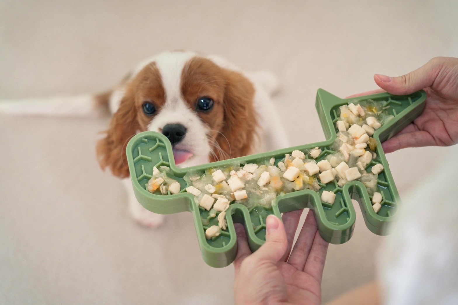 德國MiaCara｜Volpe雙面慢食器（狐狸）