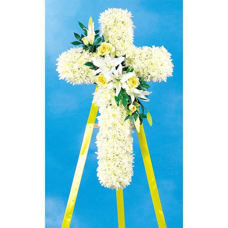 H289 ***** MEMBER DISCOUNT