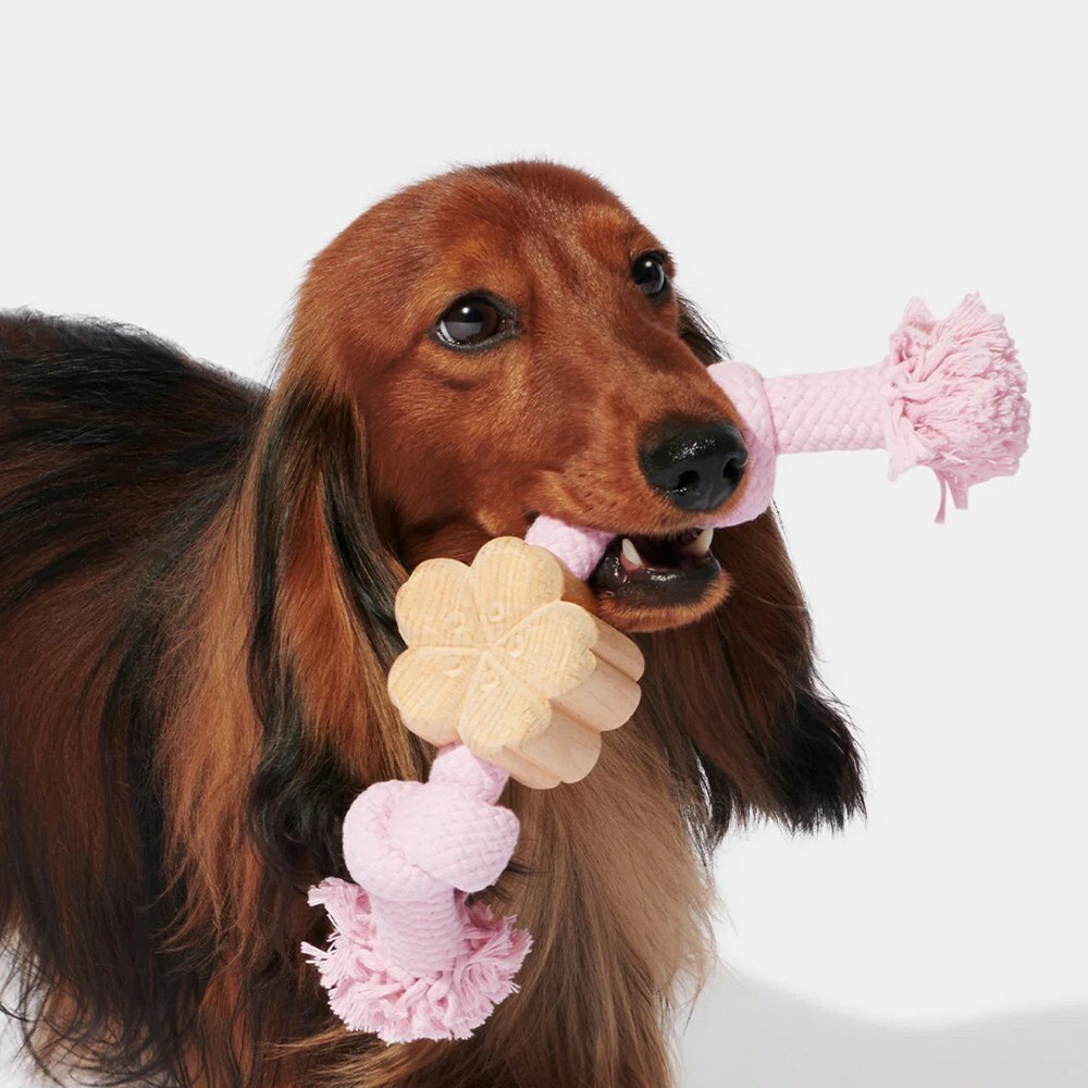 VETRESKA櫻花犬用繩結玩具