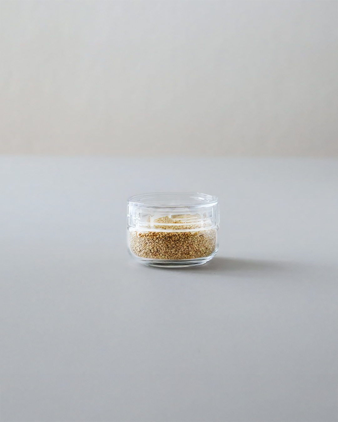 玻璃密封收納瓶 TS3 170ml｜日本星硝