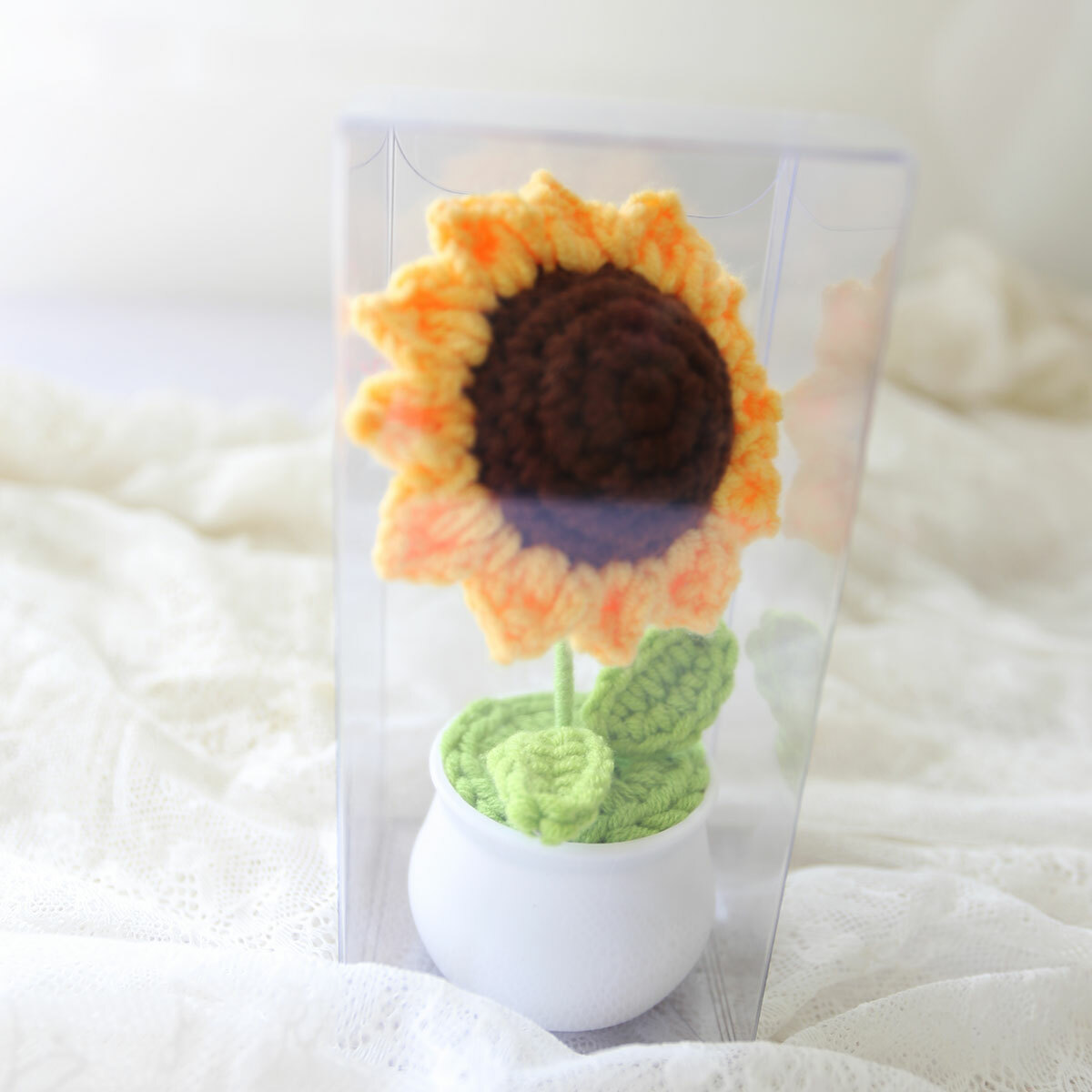 F36｜白盆編織小盆栽