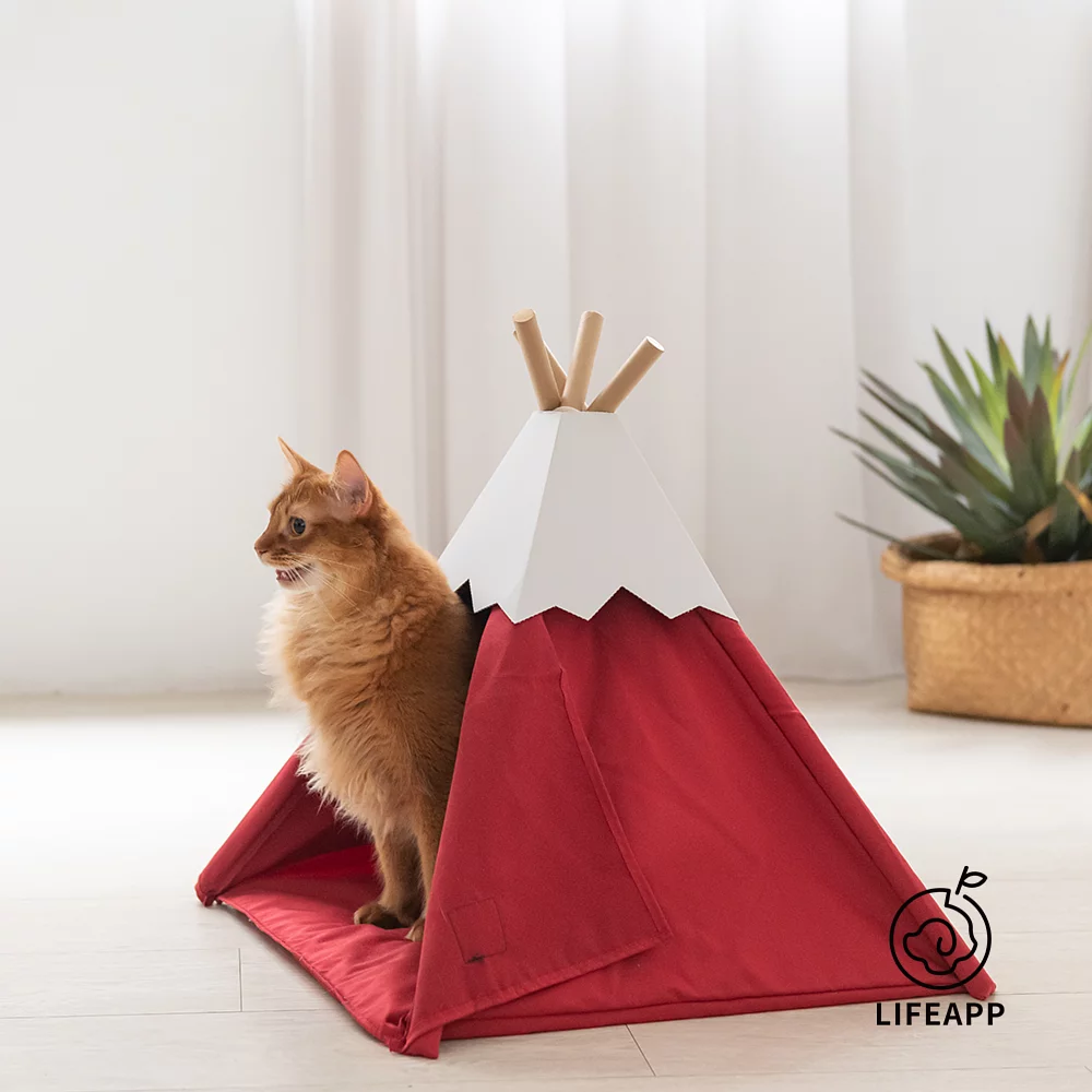 LIFEAPP | 小貓山丘▸