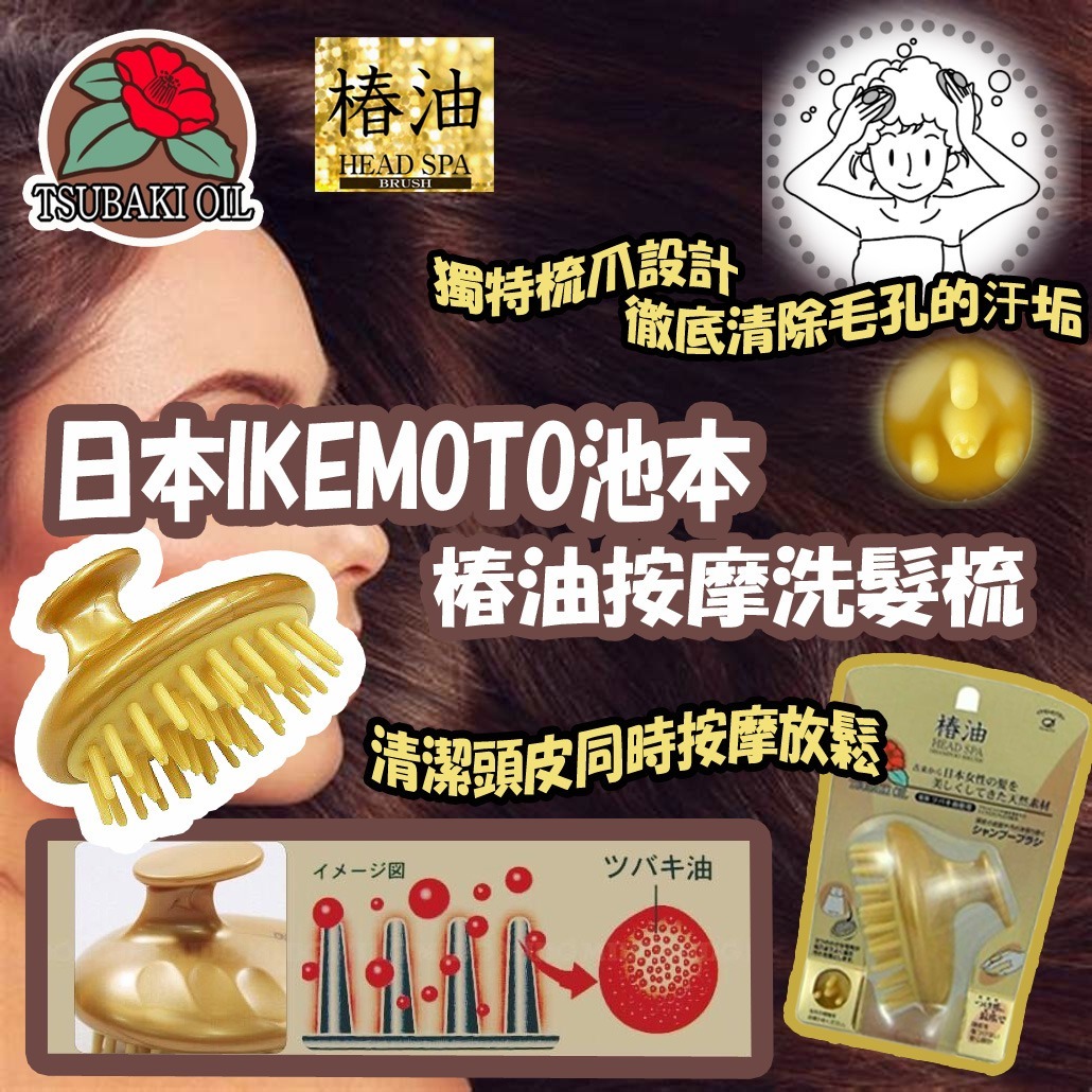 日本IKEMOTO池本椿油按摩洗髮梳