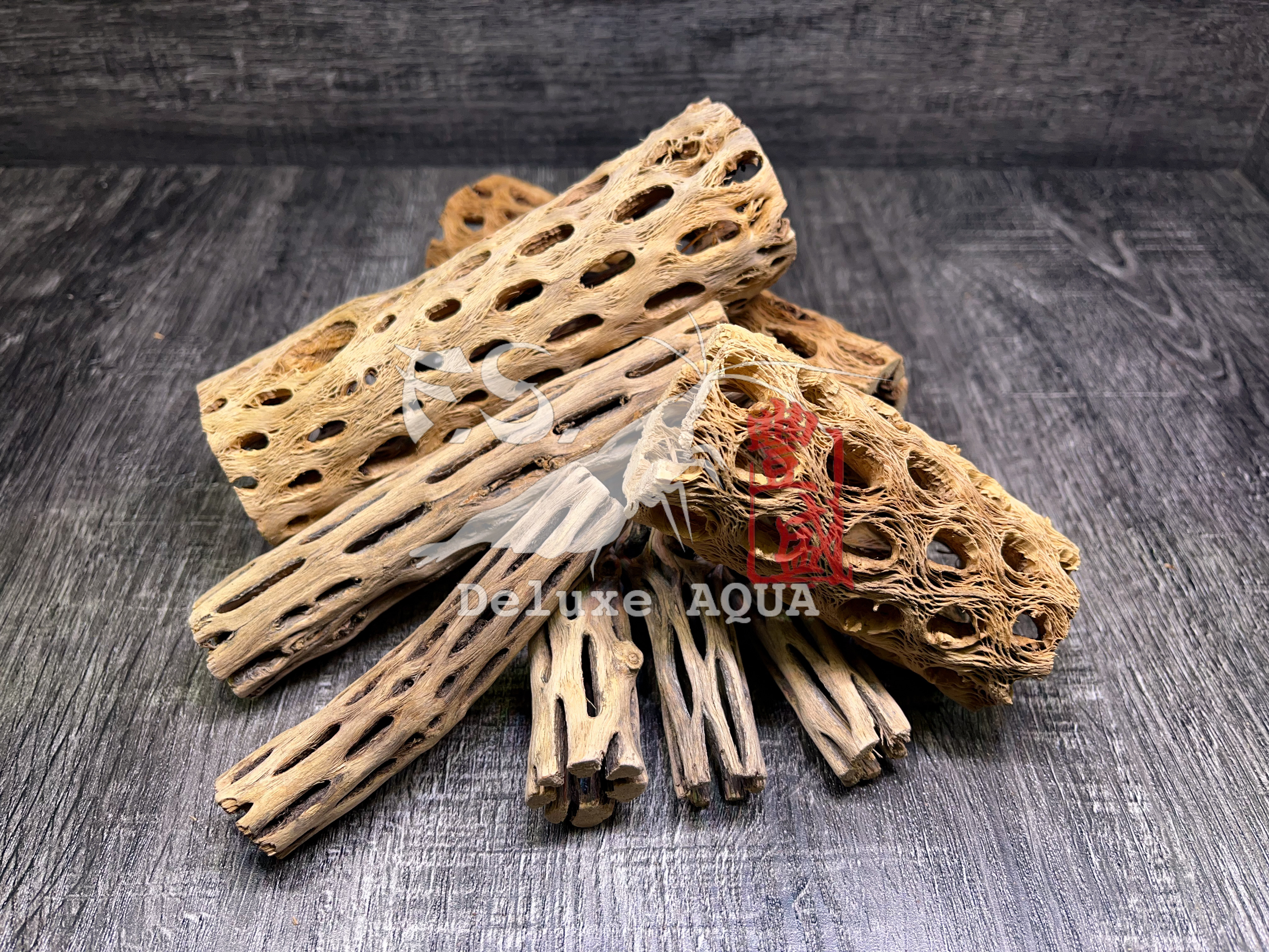 蝦木 蛇王木 仙人掌木