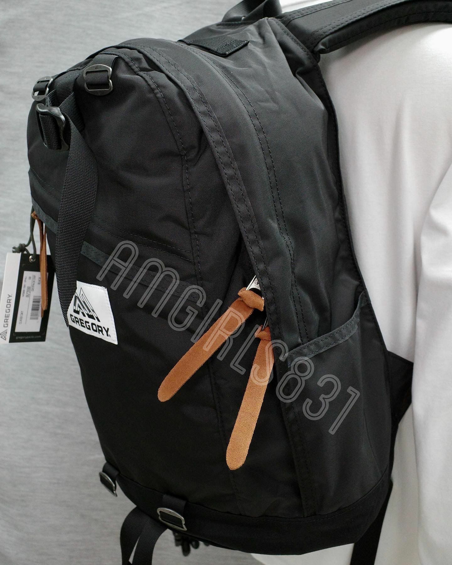 Gregory day pack Black DSP 雙側水樽位
