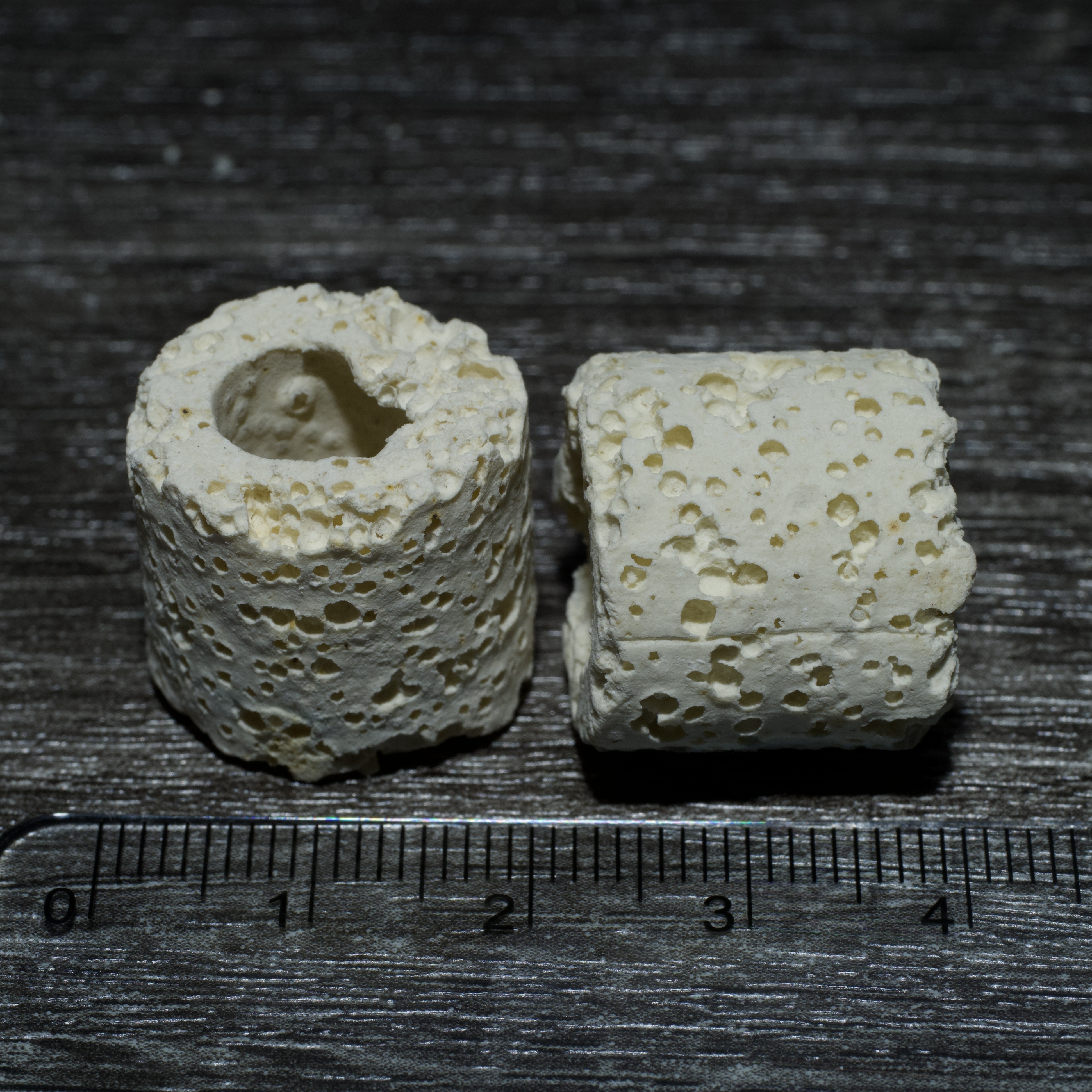 奈米多孔培菌生物環