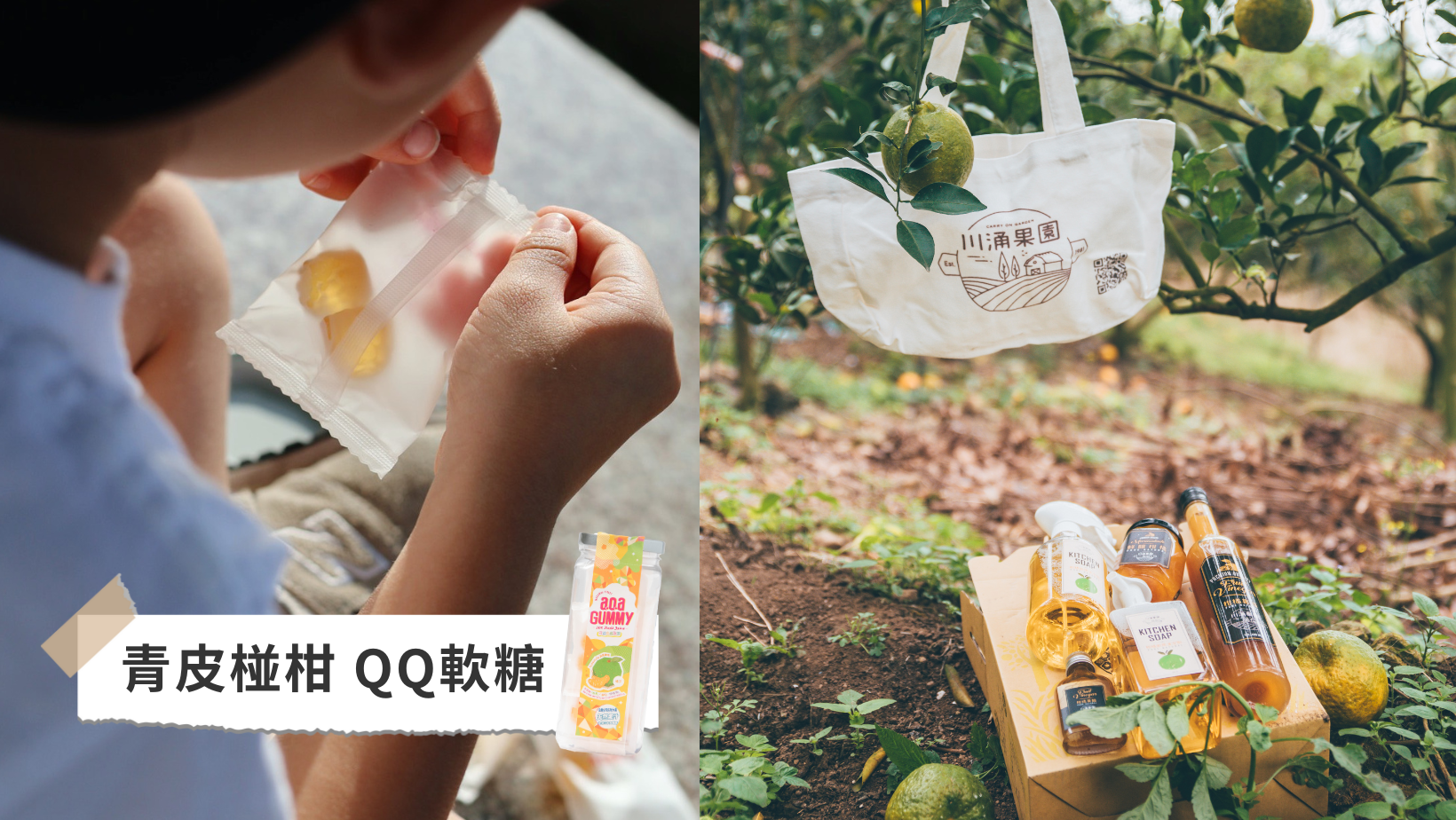 川涌果園,青皮椪柑