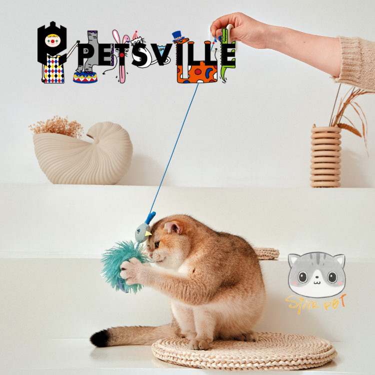 Petsville Peacock Bounce Cat Teaser
