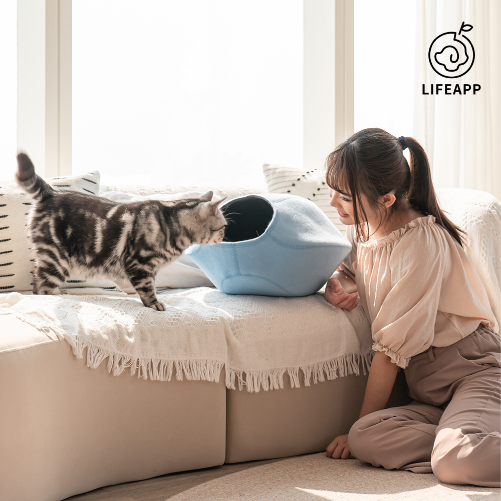 LIFEAPP | 寵愛貓窩-原色版