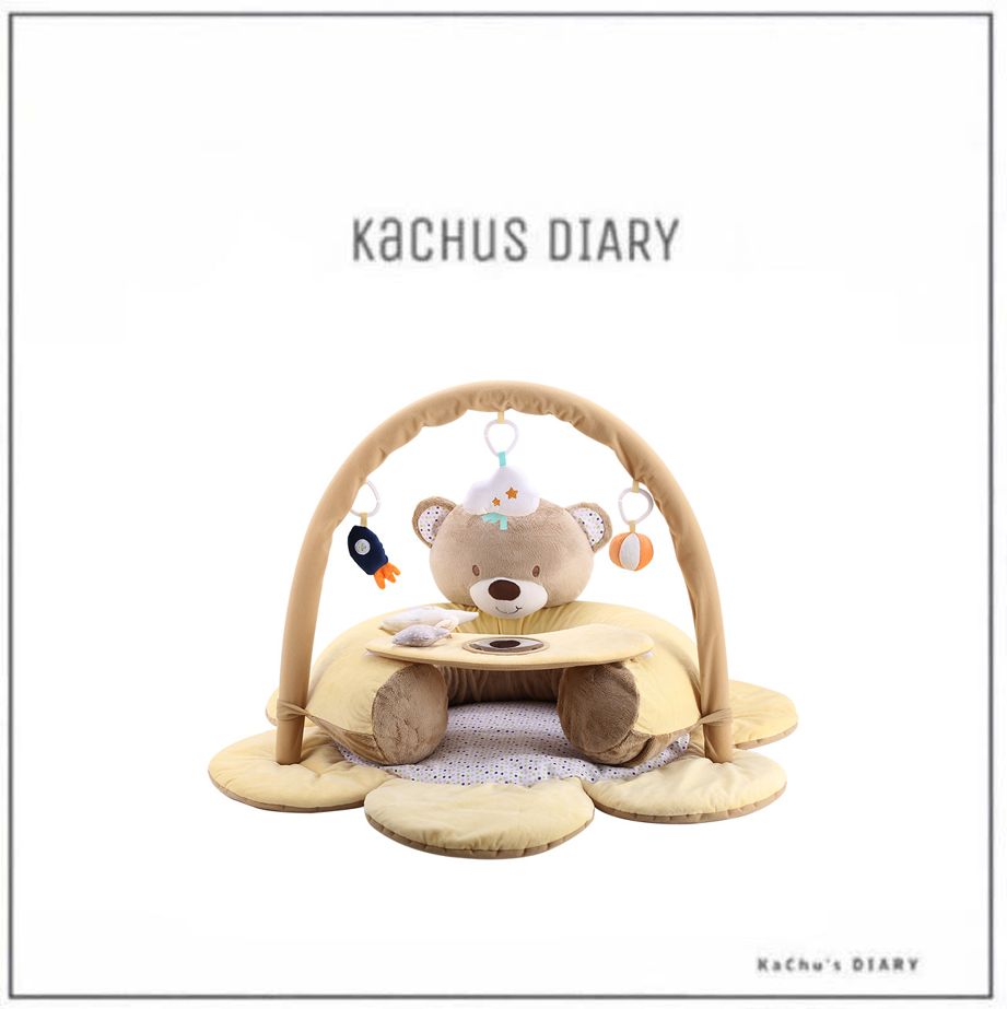 sitting bear 健力架