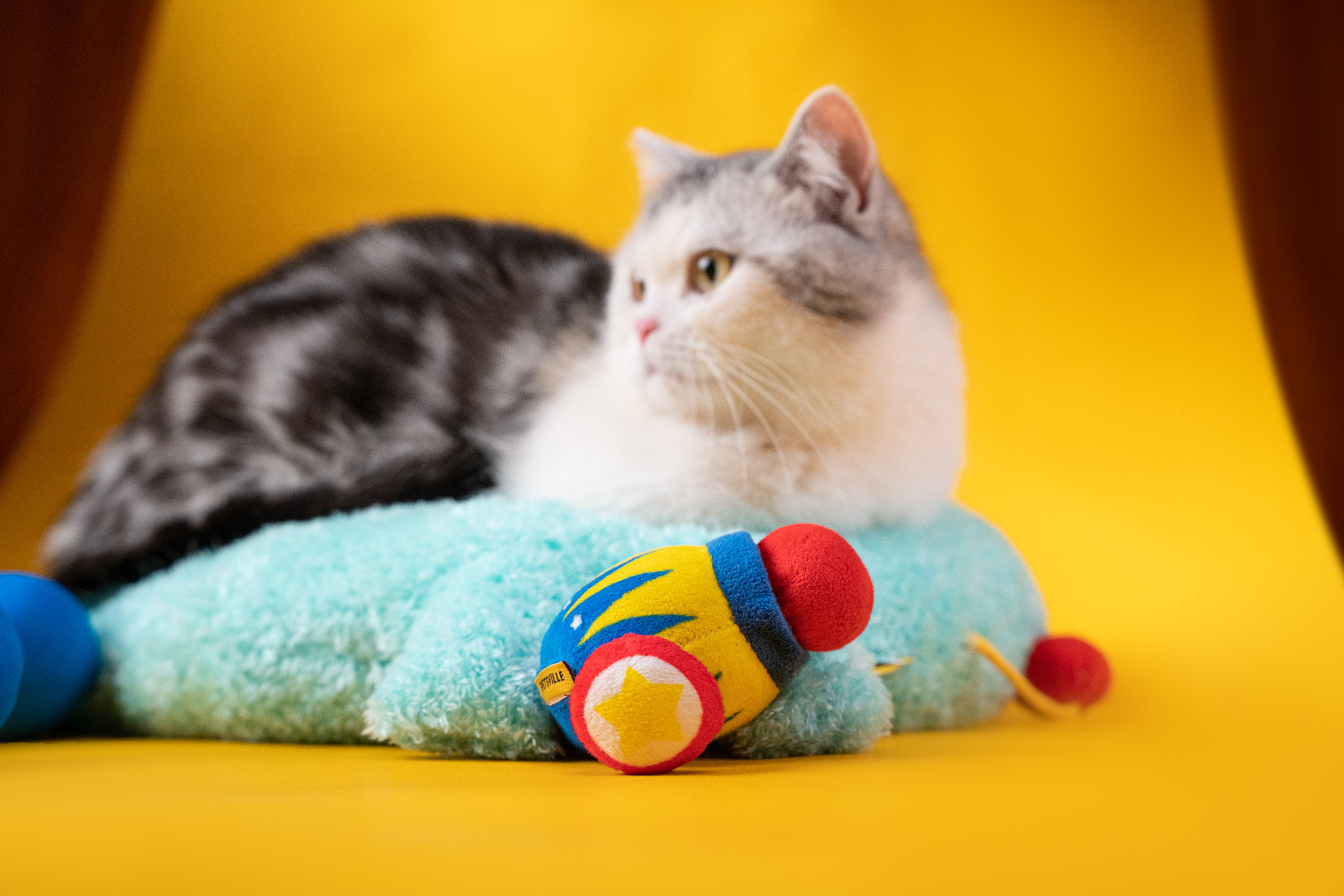 Petsville Banter Bomb Launcher