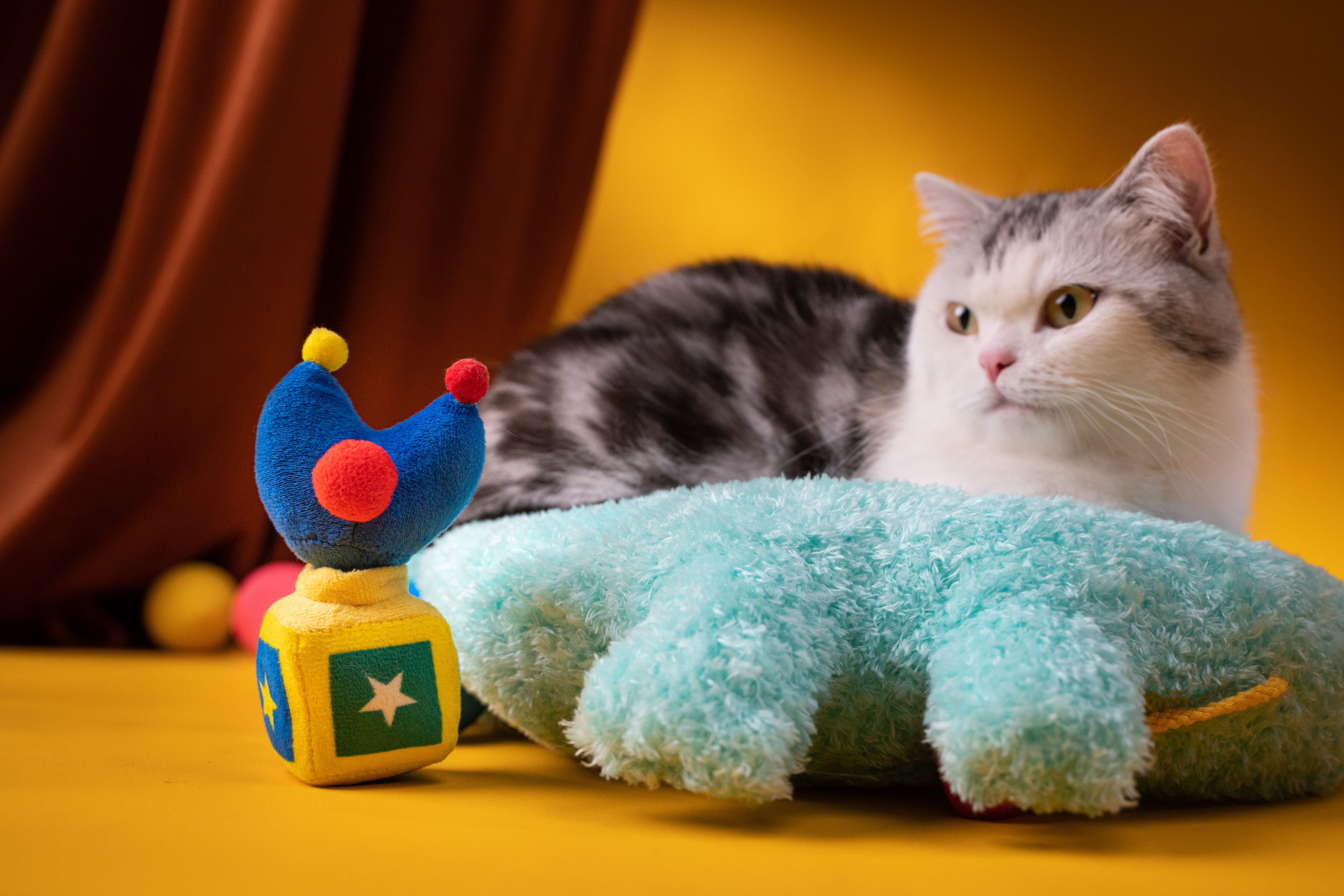 Petsville Banter Party Box