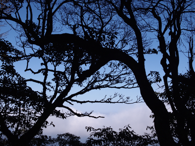 塔魔巴尖縱走,塔魔巴,hanchor,中級山,小百岳,縱走,登山,健行