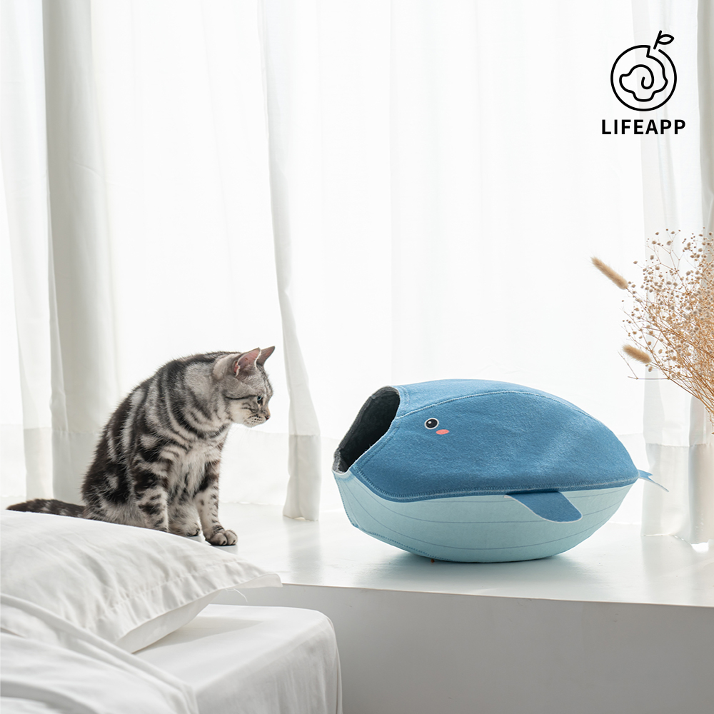 LIFEAPP | 寵愛貓窩-海洋版