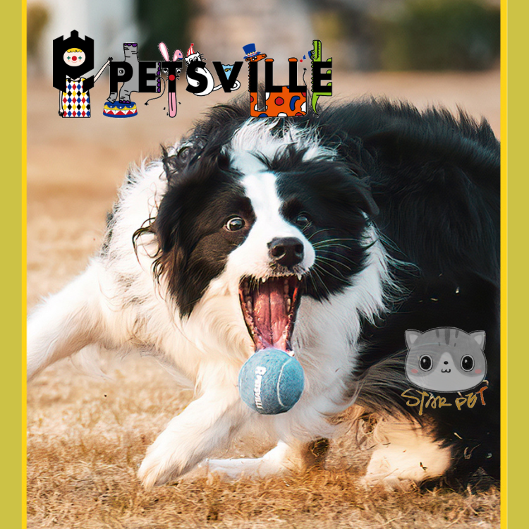 Petsville Ping Pong Ball - Yellow/Pink/Green