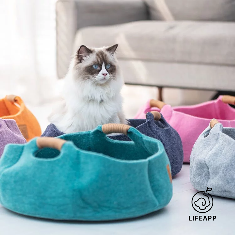LIFEAPP | 貓籃子