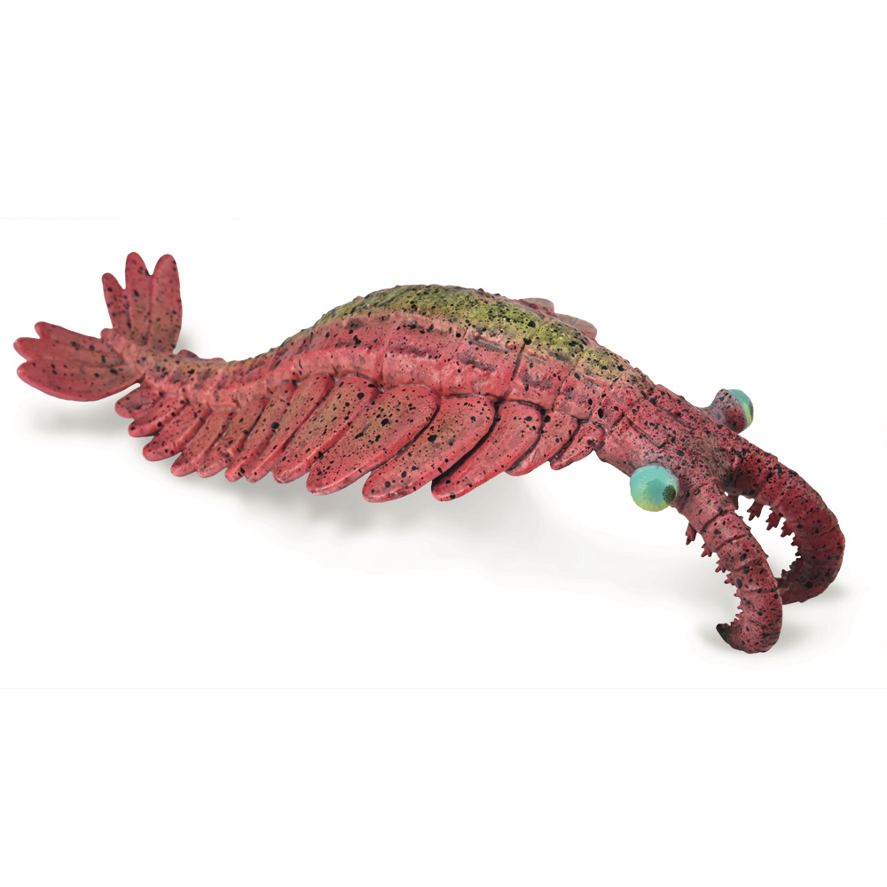 《 COLLECTA 》 奇蝦