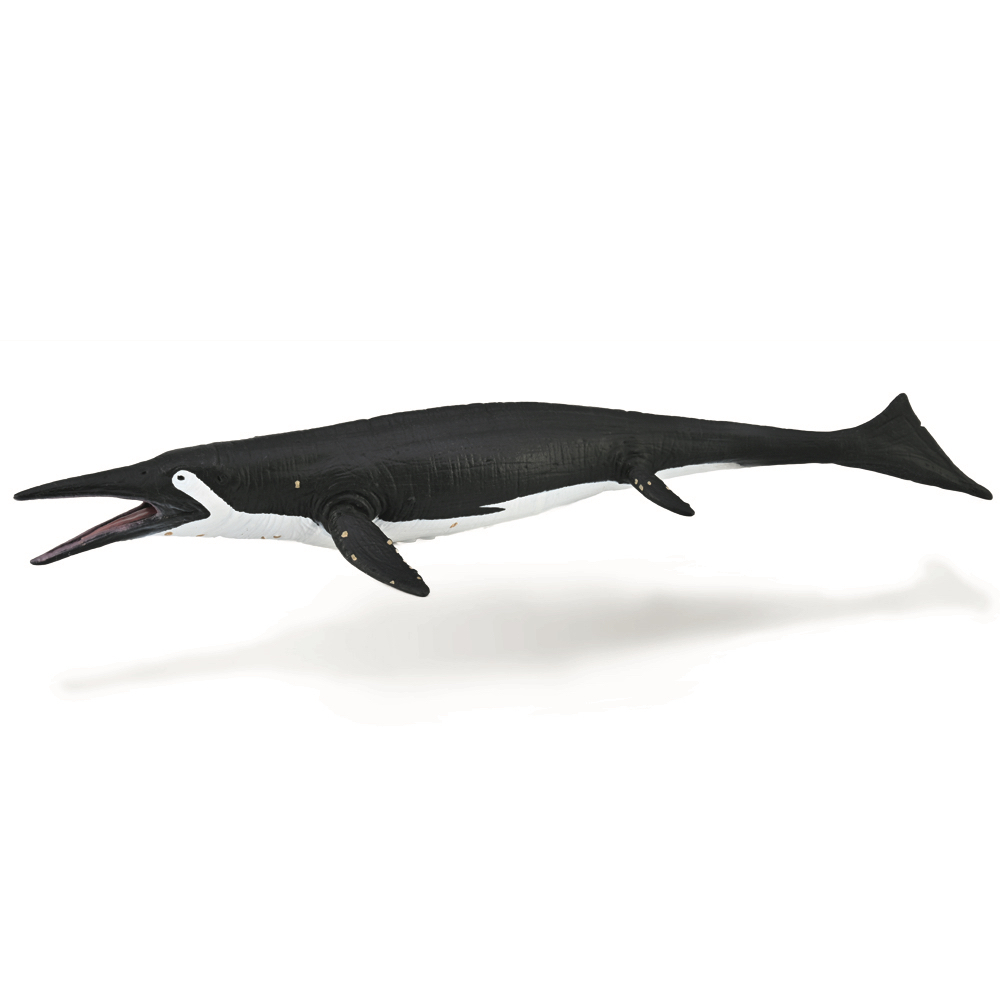 《 COLLECTA 》 薩斯特魚龍