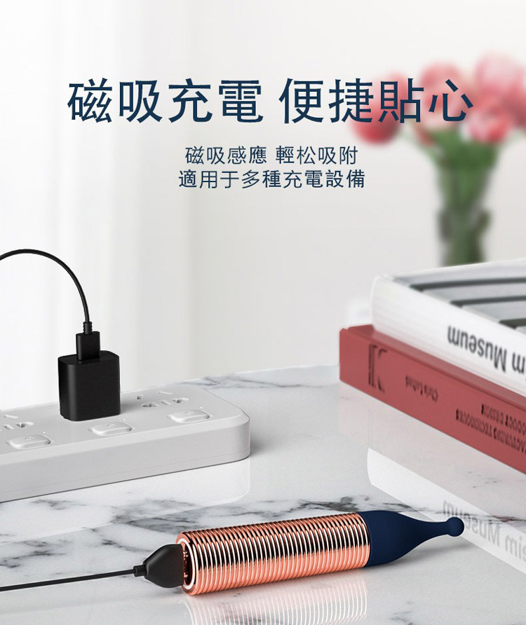 pillow talk desires 迷你 按摩棒套組