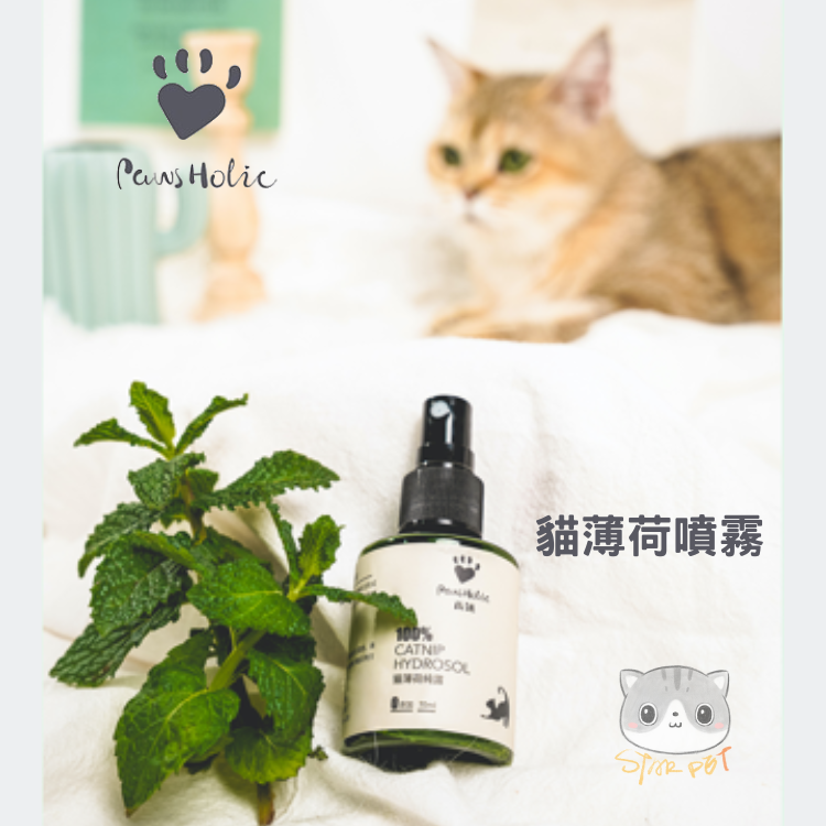 PawsHolic Catnip Hydrosol Spray 70ml