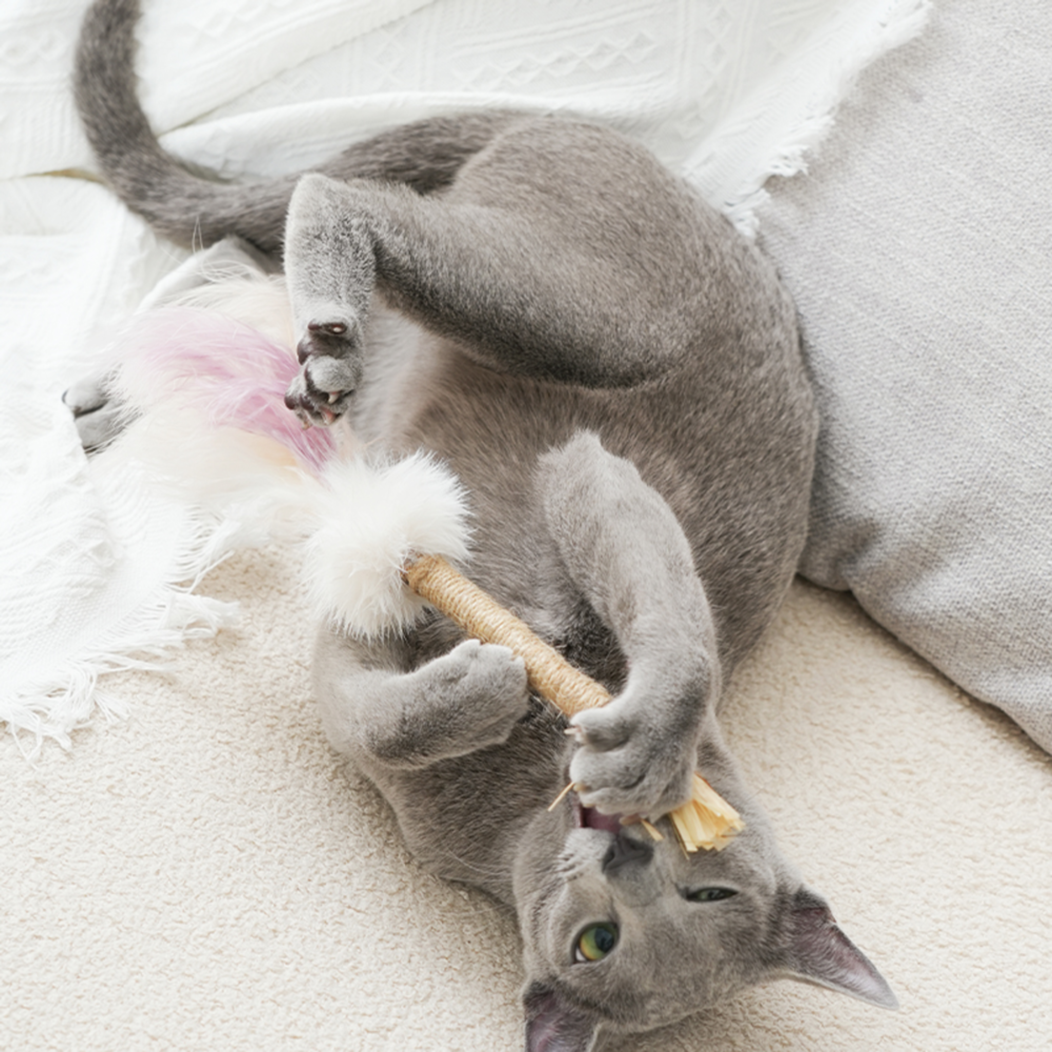 PawsHolic Matatabi Feather Toy