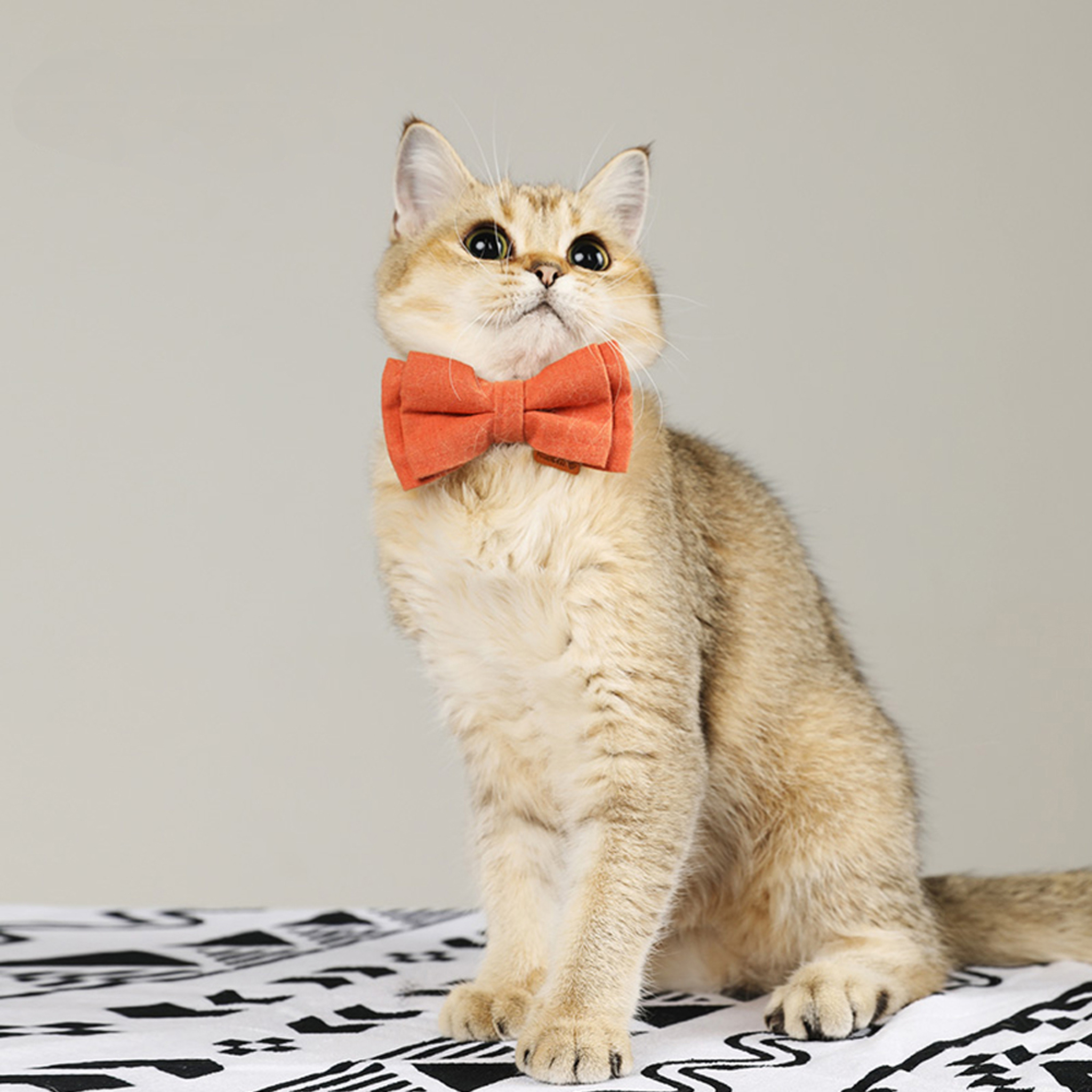 PawsHolic Sunny Sweet Pear Cotton Cat Collar (Detachable Butterfly)