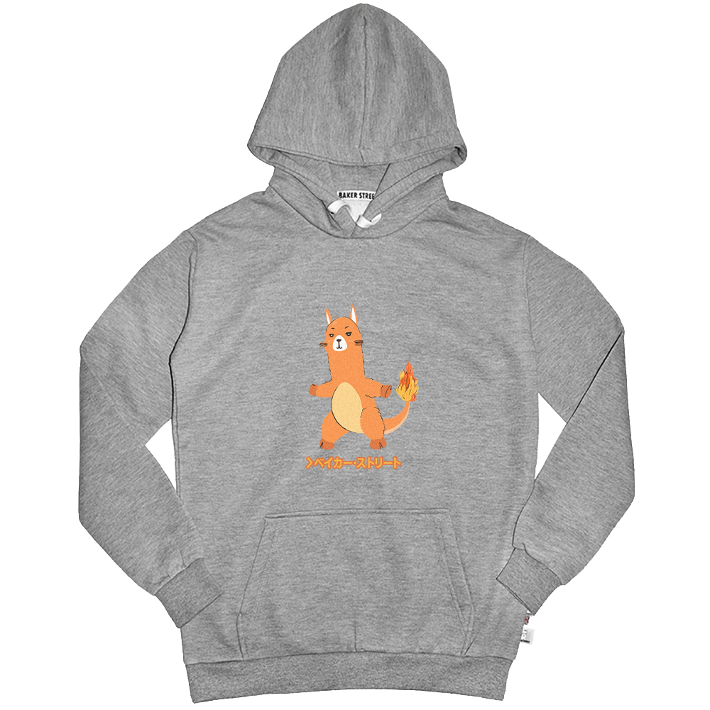 Charmpaca 火龍駝 高磅數長袖帽T