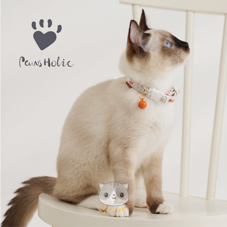 PawsHolic First Snow Cat Collar